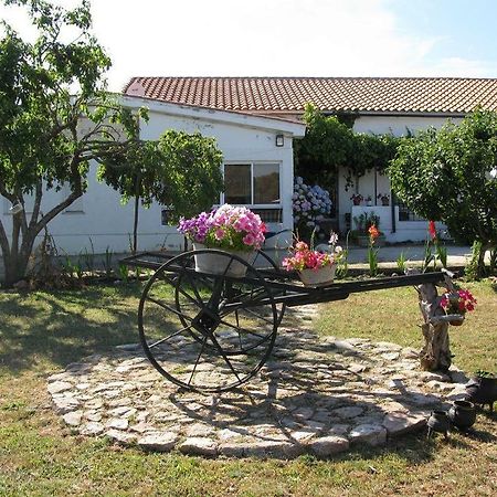 El Condado Casa Rural Fuentes de Onoro Exteriér fotografie