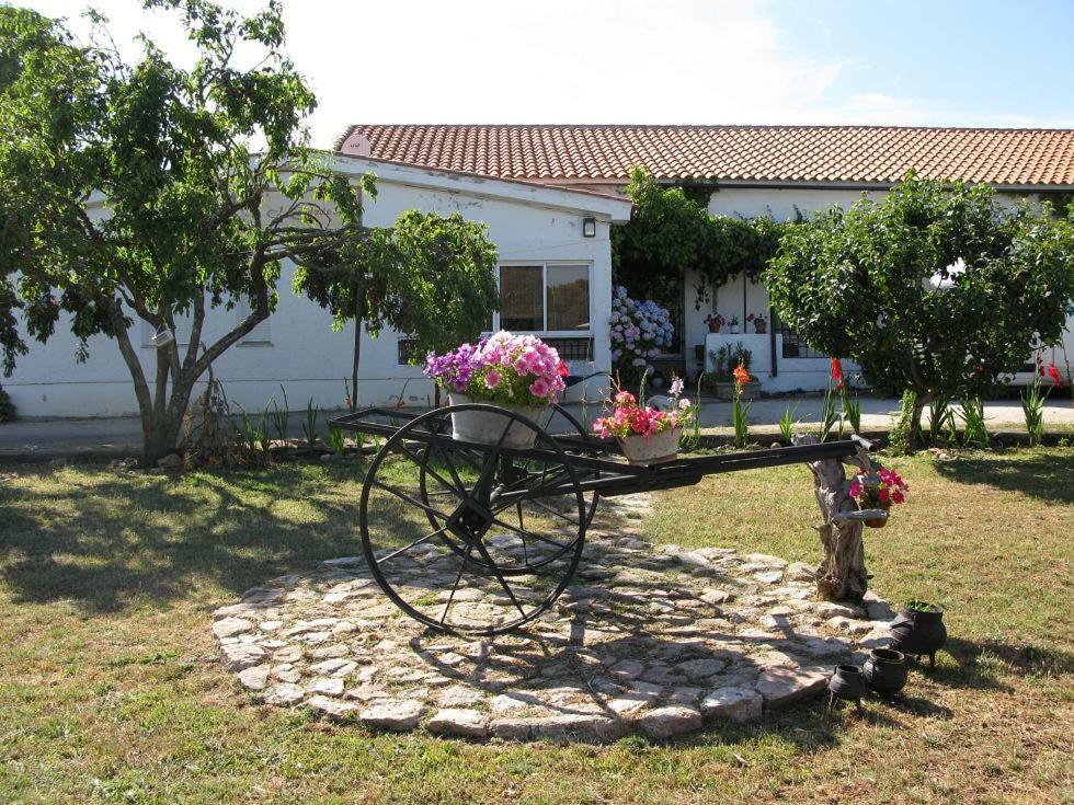El Condado Casa Rural Fuentes de Onoro Exteriér fotografie